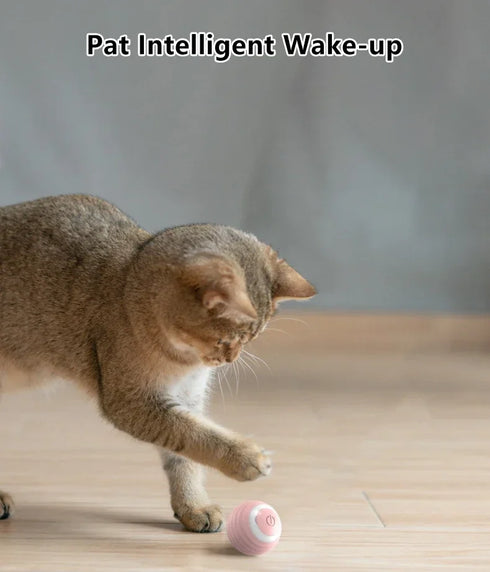 Smart Interactive Rolling Ball for Cats – Electronic Indoor Toy